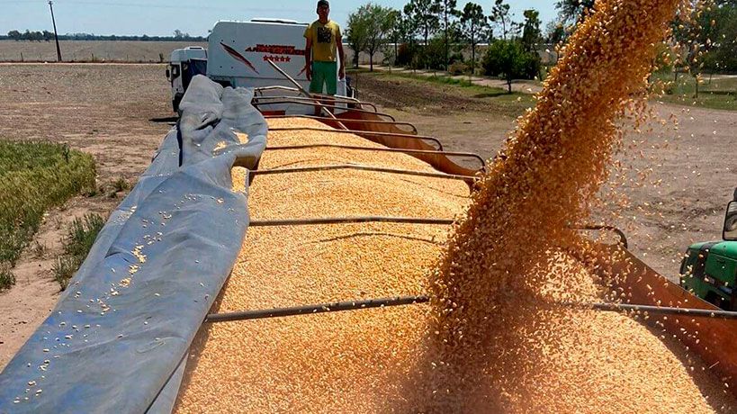 El desafío que enfrenta la logística de granos en Argentina | Interborders