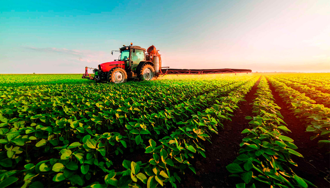 Récord histórico: exportaciones agroindustriales argentinas alcanzaron USD 4.102 millones en julio 2025 | Interborders