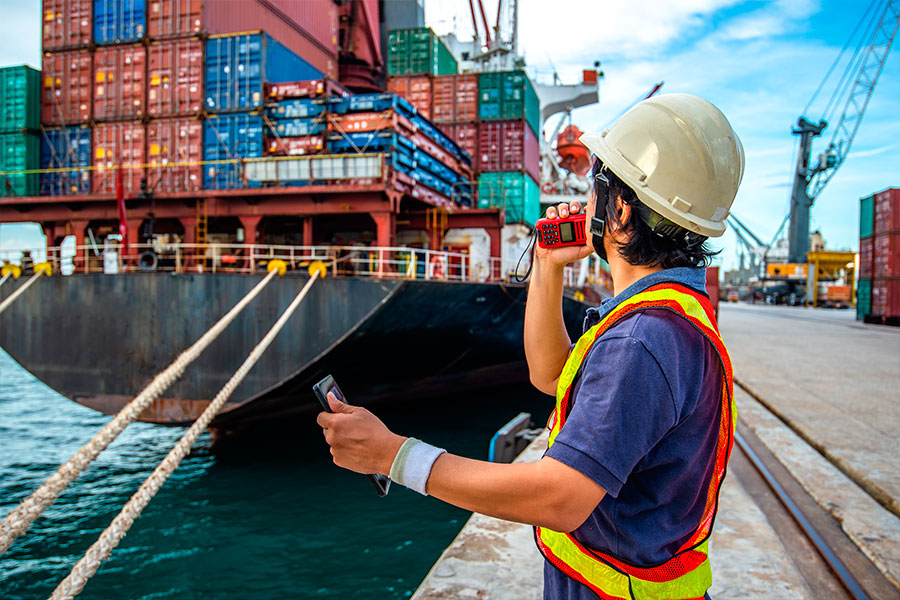 Sistema REX: una herramienta clave para simplificar exportaciones | Interborders