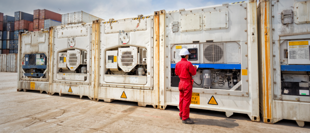 El comercio digital pone a prueba la logística reefer | Interborders