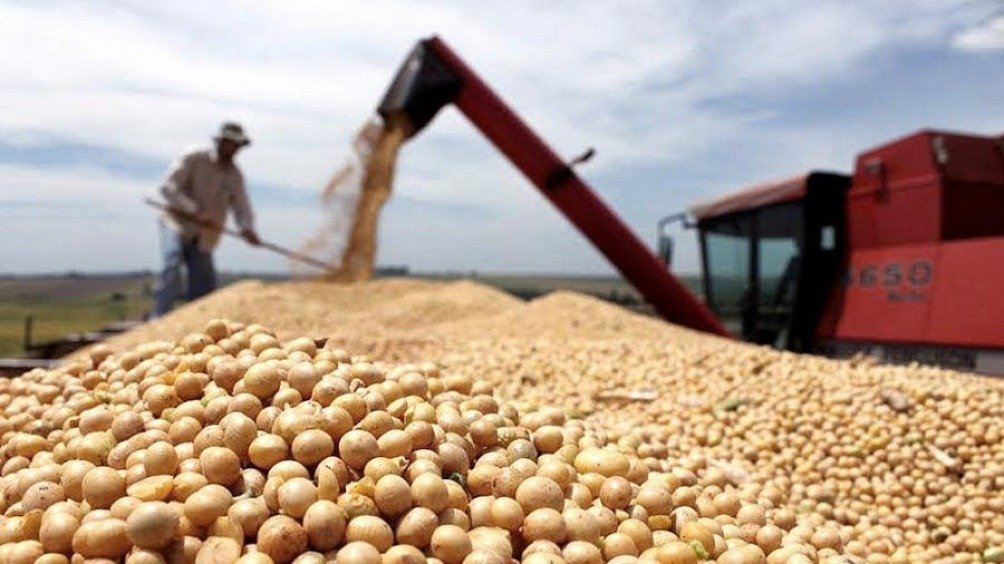 China desplaza a EE.UU y realiza compras de soja en Sudamérica | Interborders