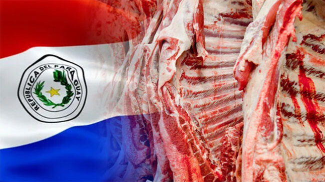 Carne paraguaya: ventana sin arancel en EE.UU. | Interborders