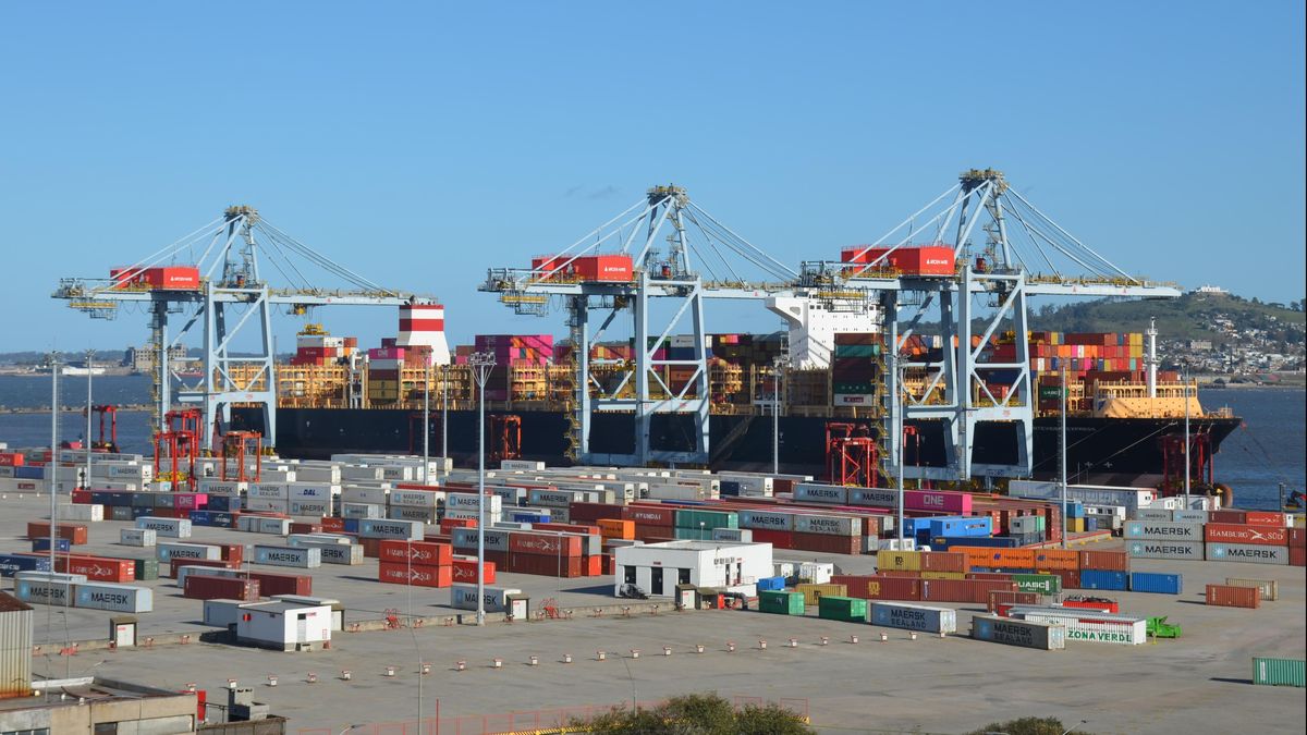 Exportaciones uruguayas: la carne vacuna impulsó al país durante septiembre de 2025 | Interborders