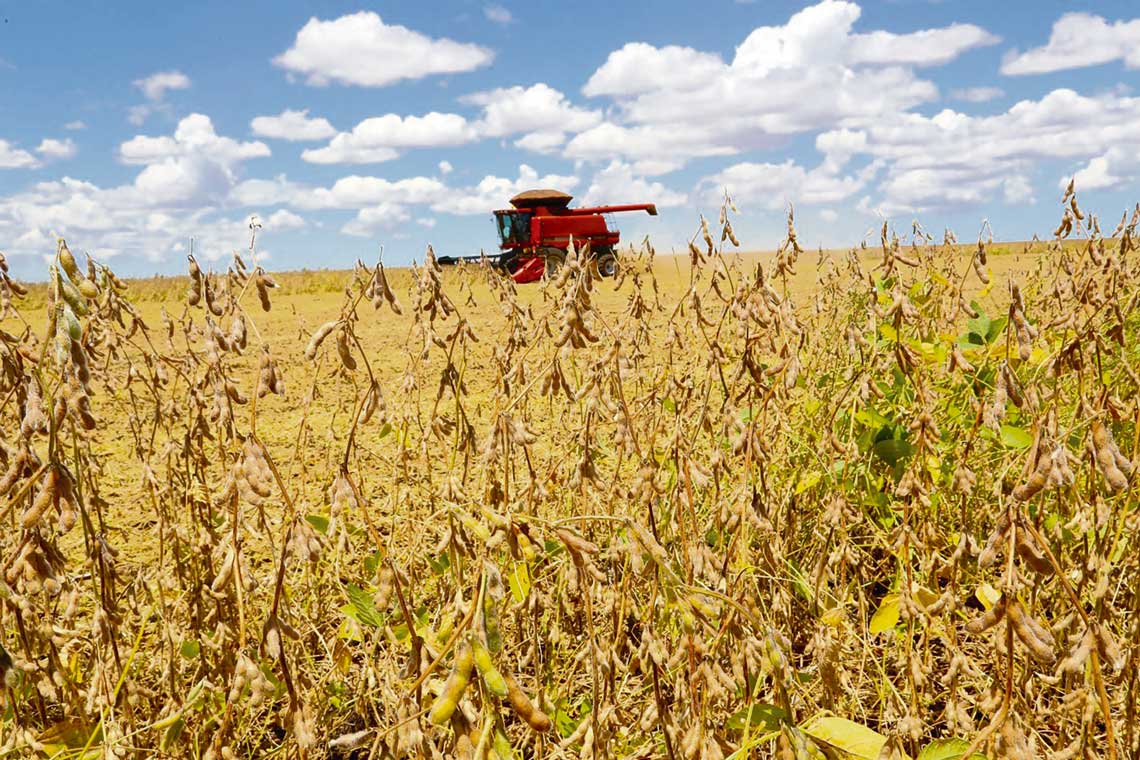 Exportaciones uruguayas crecieron en agosto con protagonismo de la soja y la carne, pero la celulosa retrocede | Interborders